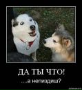 Діма Чорнобай фотография #46 (источник - https://vk.com/id28333196)