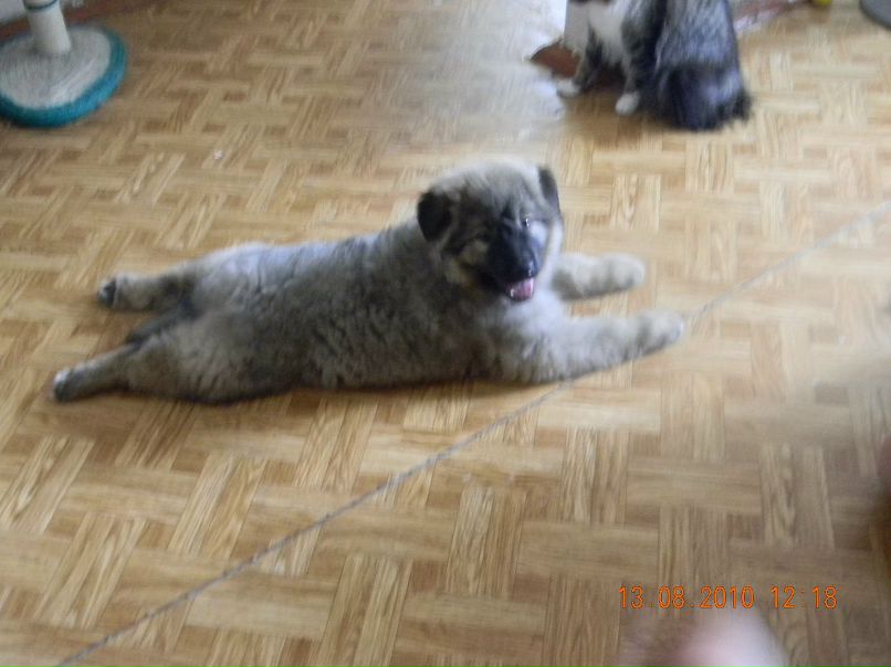 Денис Моисеев фотография #1