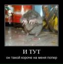 Александр Касапенко фотография #29 (источник - https://vk.com/id10534896)