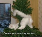 Алена ... фотография #50 (источник - https://vk.com/id60661452)