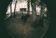 Иван Тагиров фотография #49 (источник - https://vk.com/id457755)