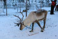 Анна Маркина фотография #48 (источник - https://vk.com/id1434636)