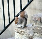 Maria Muser фотография #7 (источник - https://vk.com/id1074670)