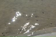 Игорь Матарыкин фотография #33 (источник - https://vk.com/id422203)