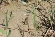 Игорь Матарыкин фотография #32 (источник - https://vk.com/id422203)