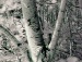 Олічка Грицина фотография #6 (источник - https://vk.com/id145502309)