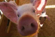 Фотография Петрова Дмитрия