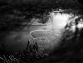 Фотография Карелиной Анастасии