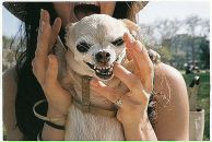 Фотография Хорошиловой Виктории