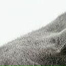 Оля Бондарчук--Варшавець фотография #44 (источник - https://vk.com/id52409522)