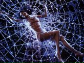 Фотография Васильняк Татьяны