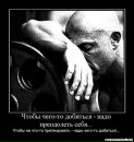 Фотография Алексеева Алексея