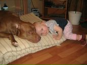 Фотография Шалаевского Андрея