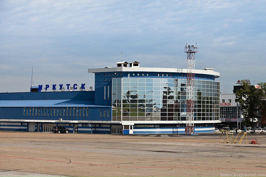 Кот Бегемот фотография #20