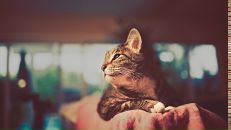 Еламан ^^ фотография #1