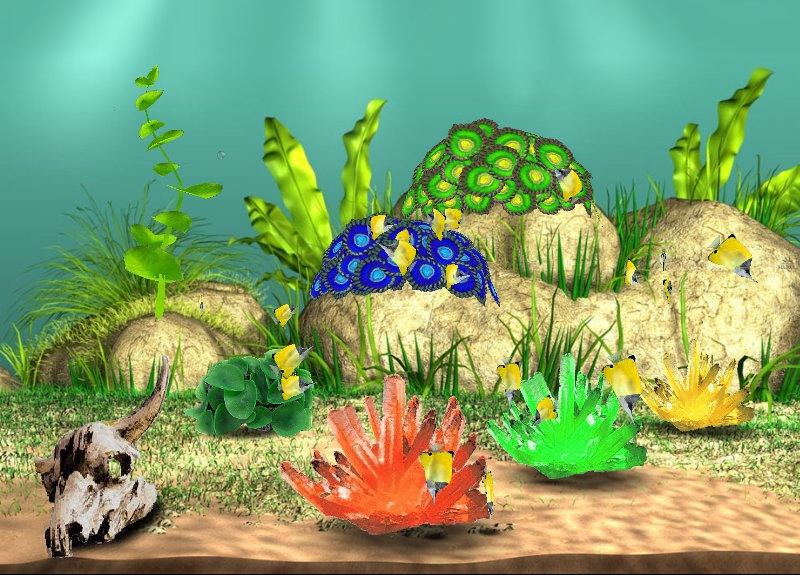 Андрей Фучаджи фотография #7