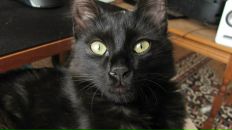 Fred Fred фотография #13 (источник - https://vk.com/id4939705)