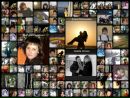 Фотография Андрианова Фотограф Виктории