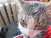 Фотография Николаевны Анны