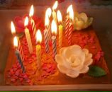 Фотография Филатовой Алины