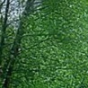 Андріана Петерсон фотография #24 (источник - https://vk.com/id156584043)