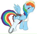 Rainbow Dash фотография #40 (источник - https://vk.com/id160507519)