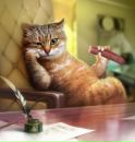 Котэ !!! фотография #24 (источник - https://vk.com/id145725628)