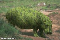 Фотография Соколовой Дарьи