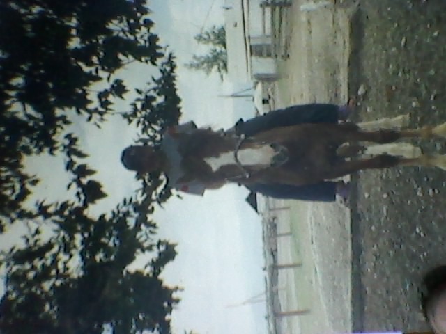 Аяс Иргит фотография #7