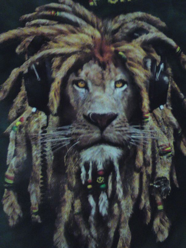 Владимир Лукашенко фотография #7