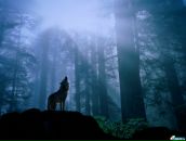 Фотография Волковой Веры