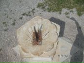 Teele Piik фотография #23 (источник - https://vk.com/id9423178)