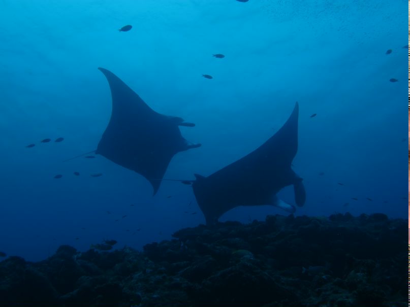 Alexey E фотография #28