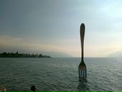 Kot Пушкин фотография #8 (источник - https://vk.com/id6049307)