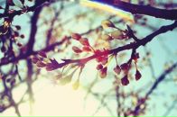 Фотография Валерьевны Валерии