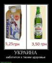 Міша Топоринський фотография #32 (источник - https://vk.com/id62491474)