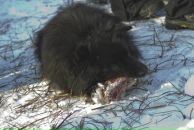 Сергей Мудрук фотография #25 (источник - https://vk.com/id675474)