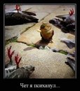 Андрюха Вітюк фотография #31 (источник - https://vk.com/id101161543)