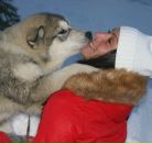 Фотография Болашовой Юлии