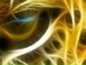 Віталій Євтодюк фотография #11 (источник - https://vk.com/id57076607)