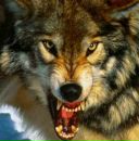 Фотография Зуева Дениса