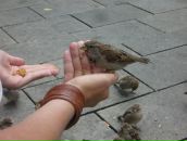 Фотография Лихачевой Аси