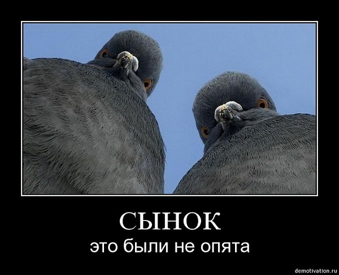 Денис Старос фотография #44
