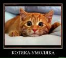 Дмитрий Макаров фотография #32 (источник - https://vk.com/id2691551)