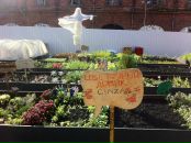 Дмитрий Алексеев фотография #1