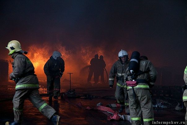 Дмитрий Башкирцев фото №7