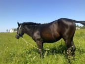 Фотография Далецкой Елены