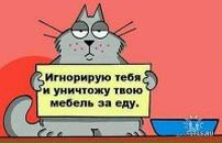 Никитус Иванников фотография #31 (источник - https://vk.com/id3616632)