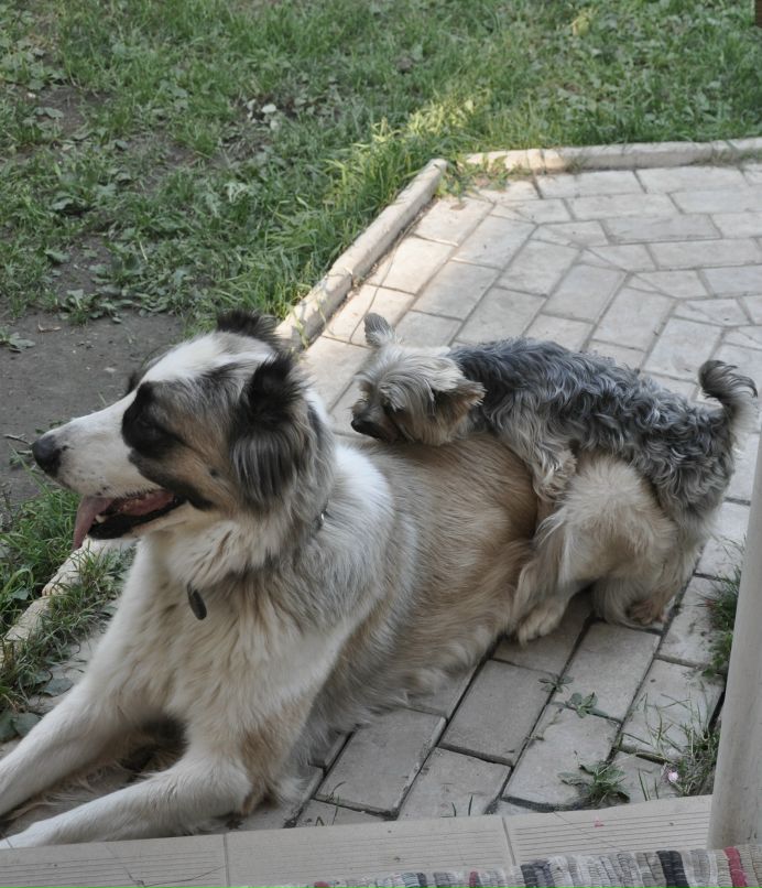 Виктор Андросов фотография #4