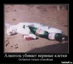 Александр Драпаченко фотография #45 (источник - https://vk.com/id5321972)